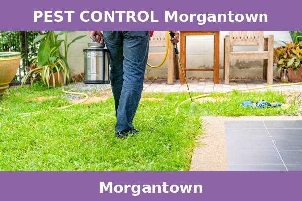PEST CONTROL Morgantown